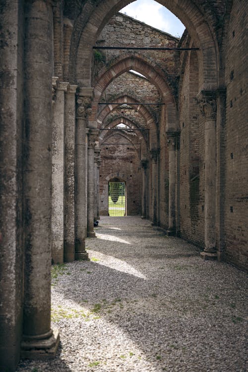 Gratis arkivbilde med abbazia di san galgano, arkade, arkitektur