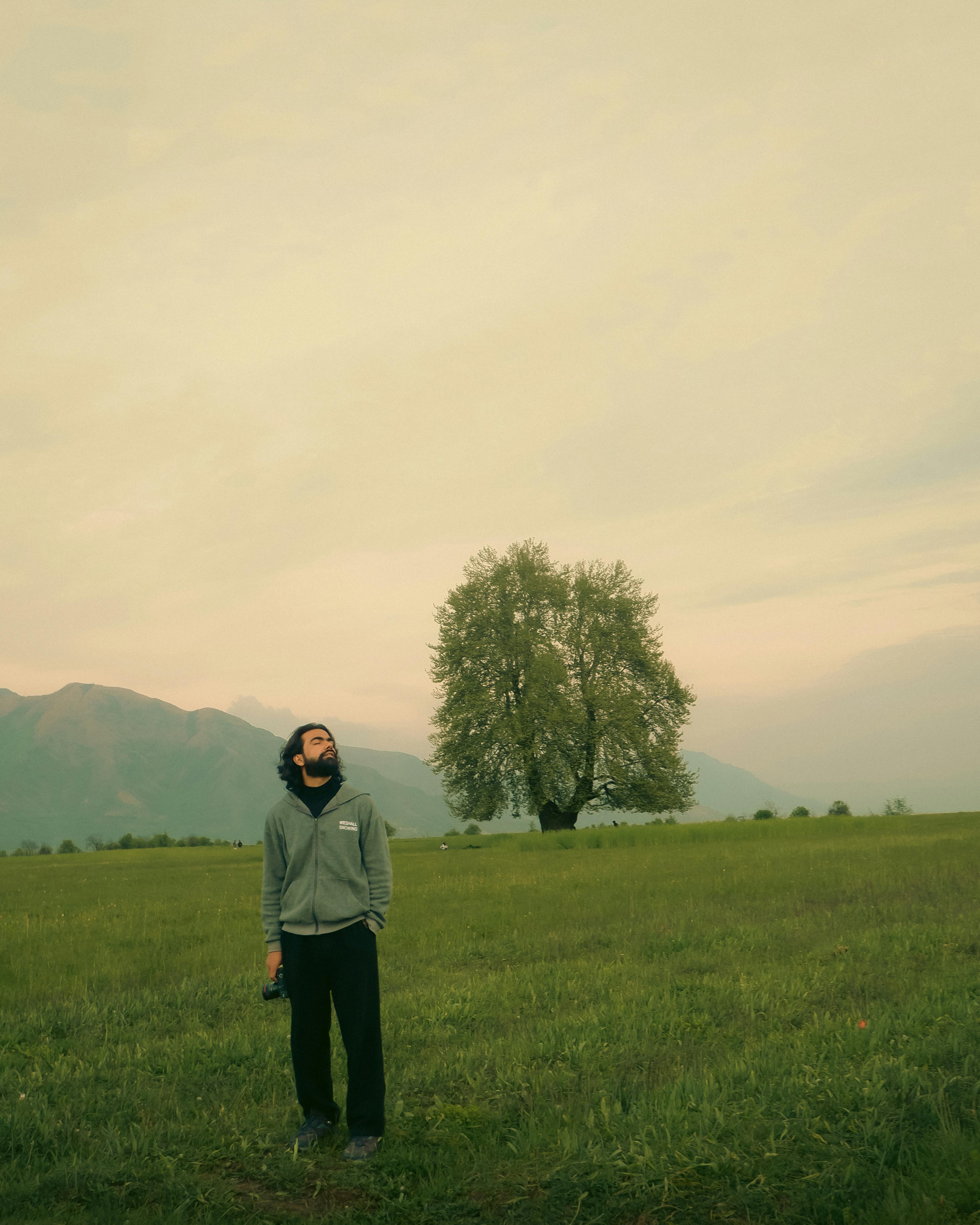 A man stands in a tranquil countryside field, gazing upwards with soft light and a lone tree in the background.