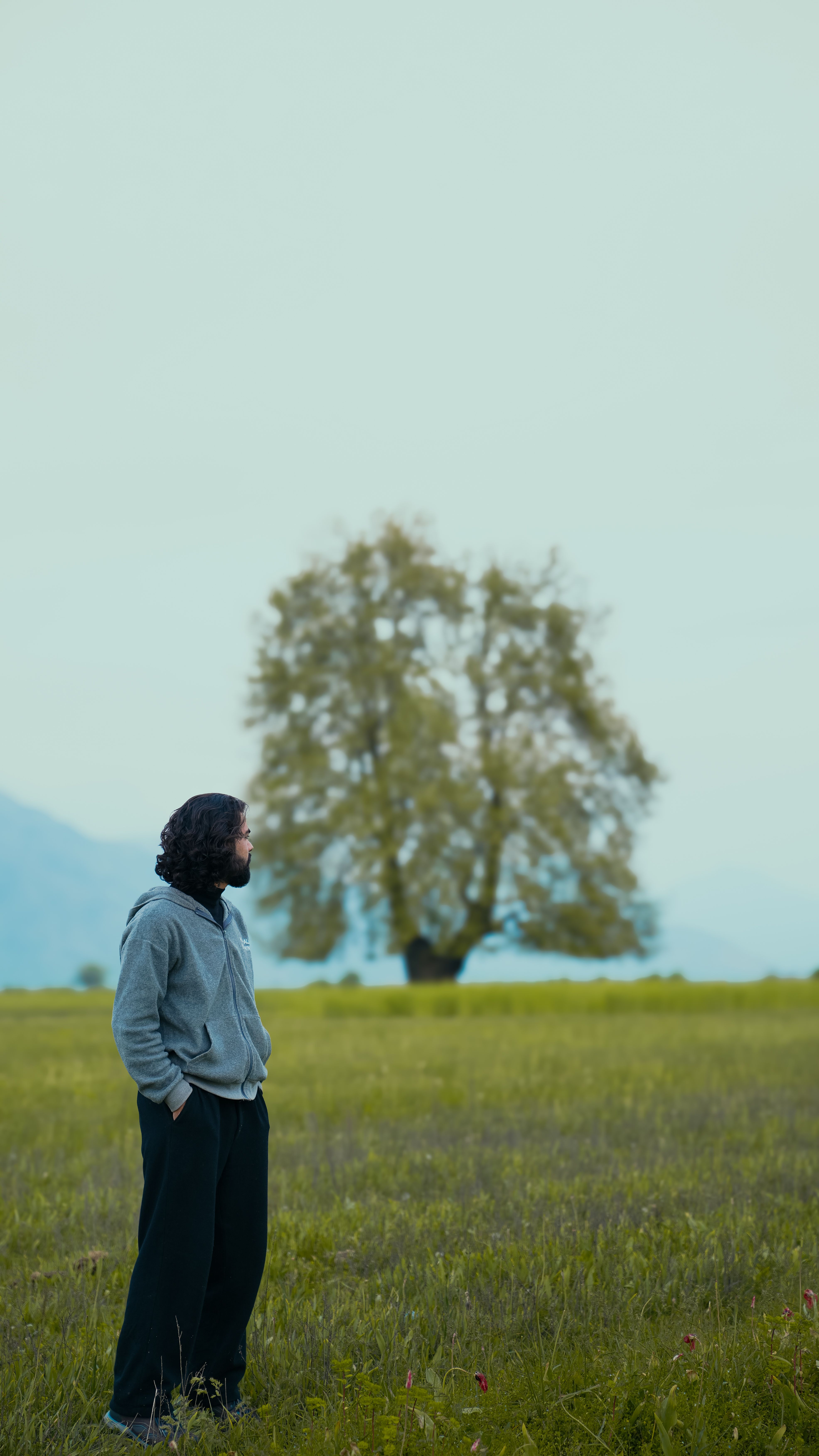 A man stands in a rural field, contemplating nature, with a large tree in the background.