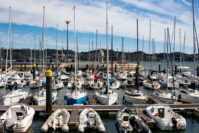 Sailboats docked in a bright marina