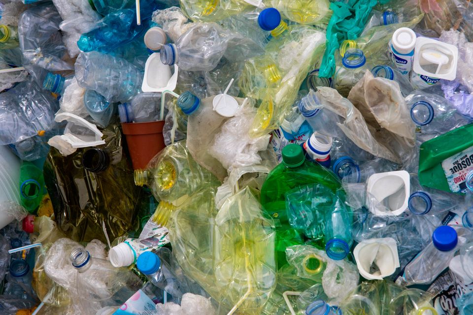 Beach cleanup volunteers collecting plastic