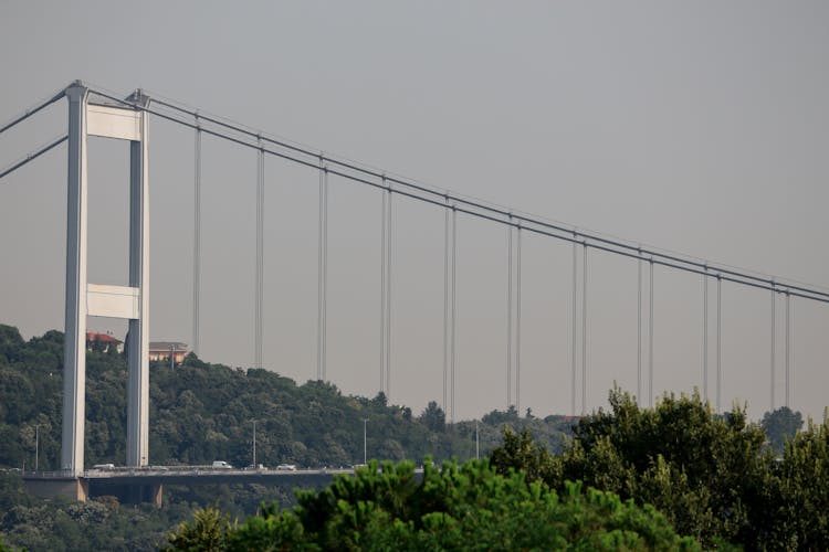 White Concrete Bridge