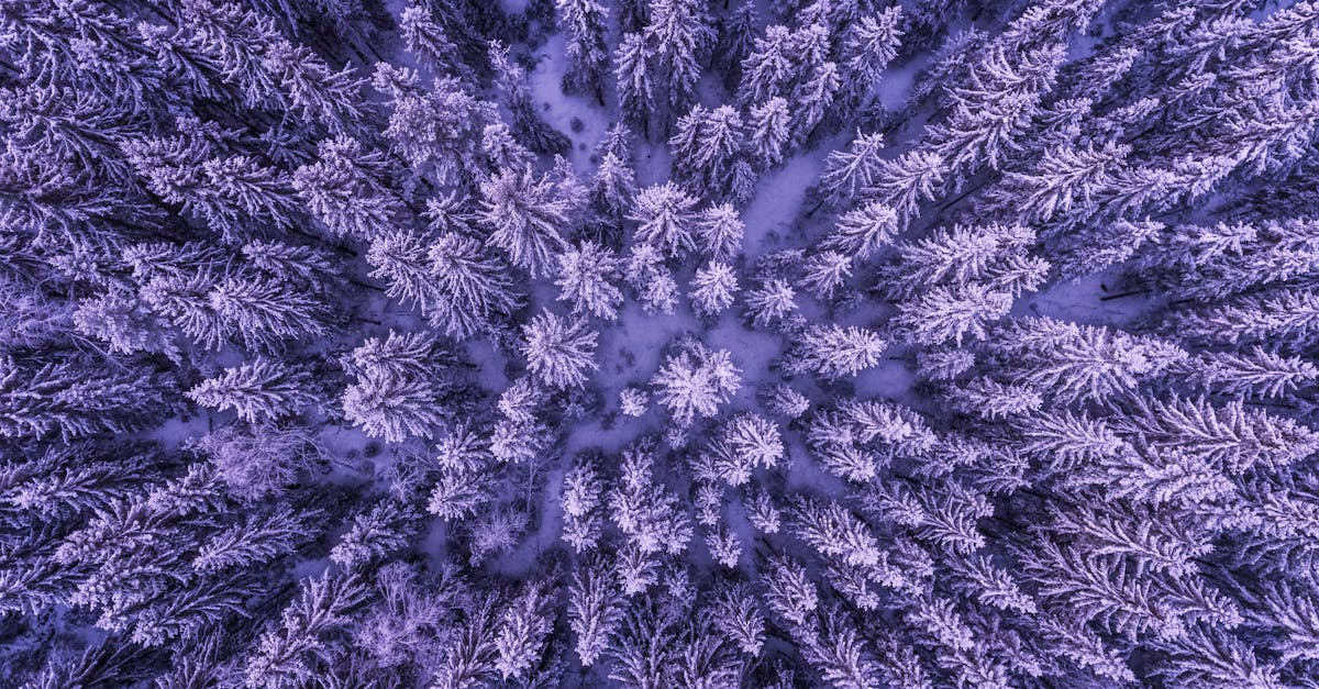 Free stock photo of above, aerial, cold