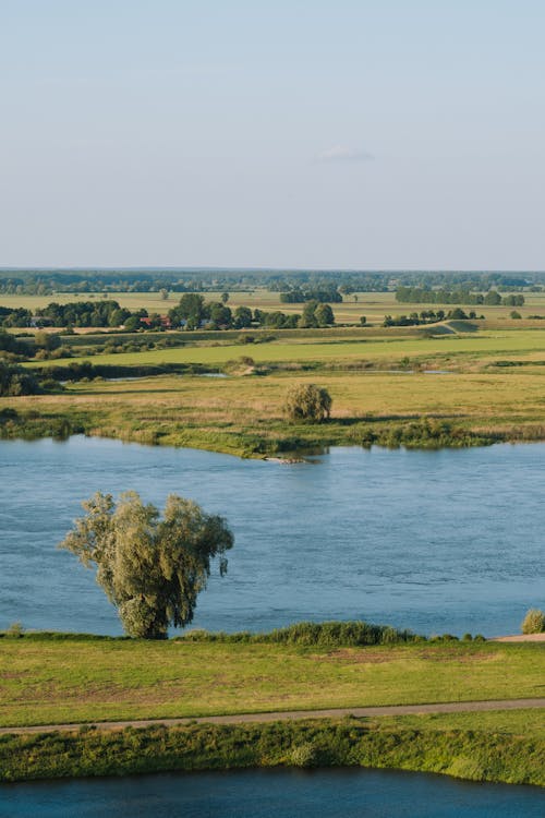 Gratis stockfoto met biljarten, boom, buiten