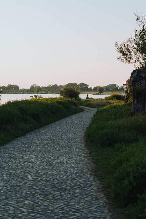 Gratis lagerfoto af dagslys, efterår, elbe