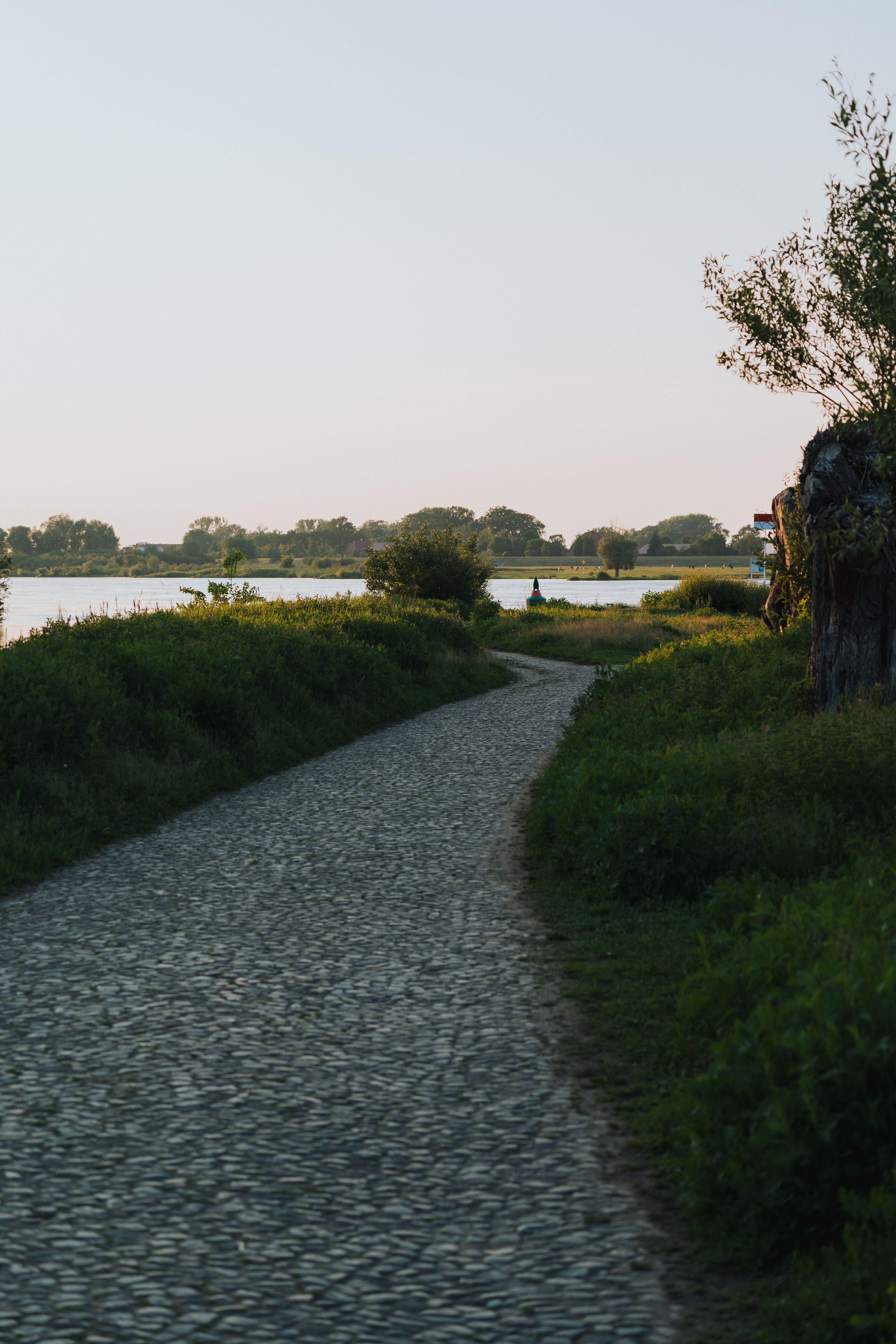 A path leading to a lake with grass and trees · Free Stock Photo