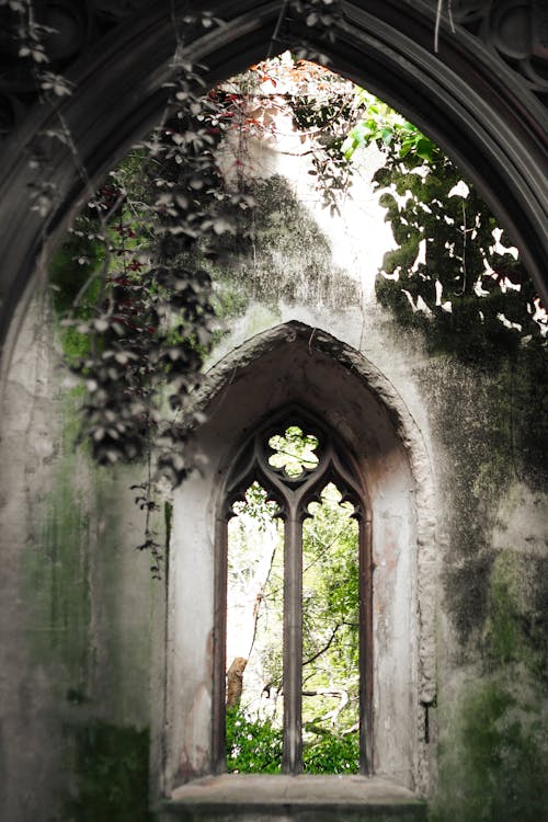 Foto profissional grátis de abadia de westminster, abandonado, ancião