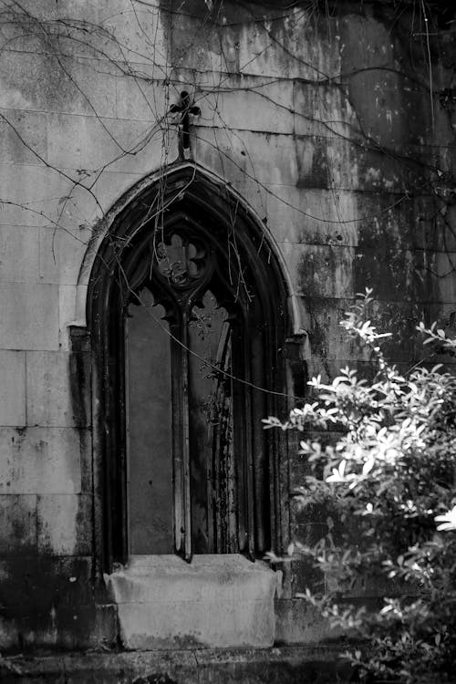 Foto d'estoc gratuïta de abadia de westminster, abandonat, antic