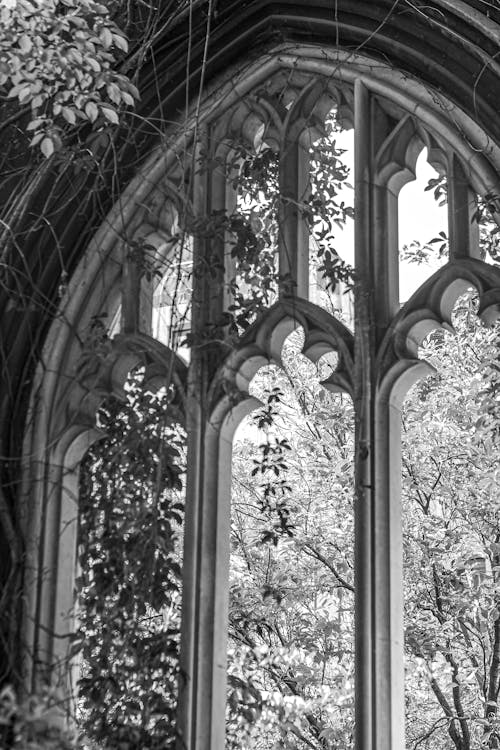 Fotos de stock gratuitas de abadía de westminster, al aire libre, antiguo