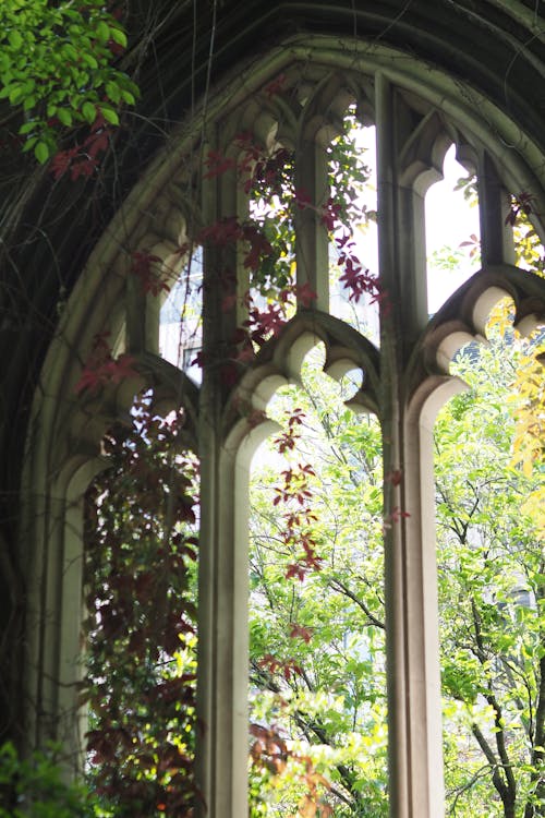 Foto profissional grátis de abadia de westminster, ancião, ao ar livre