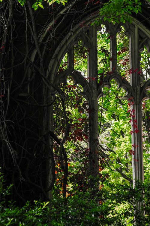 Free Gothic-style arches entwined with vibrant greenery at a historic site in London, England. Stock Photo