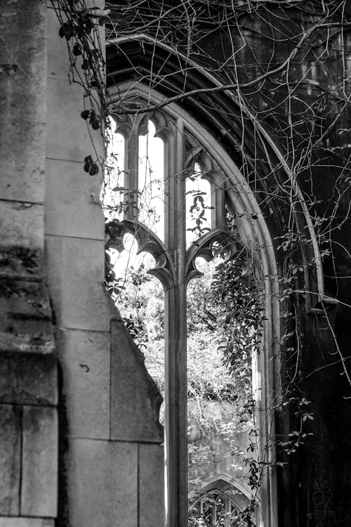 Foto d'estoc gratuïta de a l'aire lliure, abadia de westminster, antic