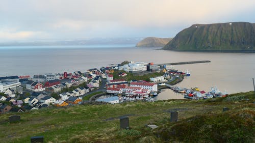 Бесплатное стоковое фото с honningsvag, вид, деревня