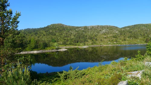 Δωρεάν στοκ φωτογραφιών με δασικός, λίμνη, Νορβηγία