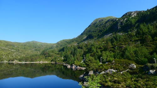 Бесплатное стоковое фото с лес, норвегия, озеро