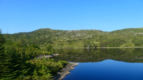 Бесплатное стоковое фото с лес, норвегия, озеро