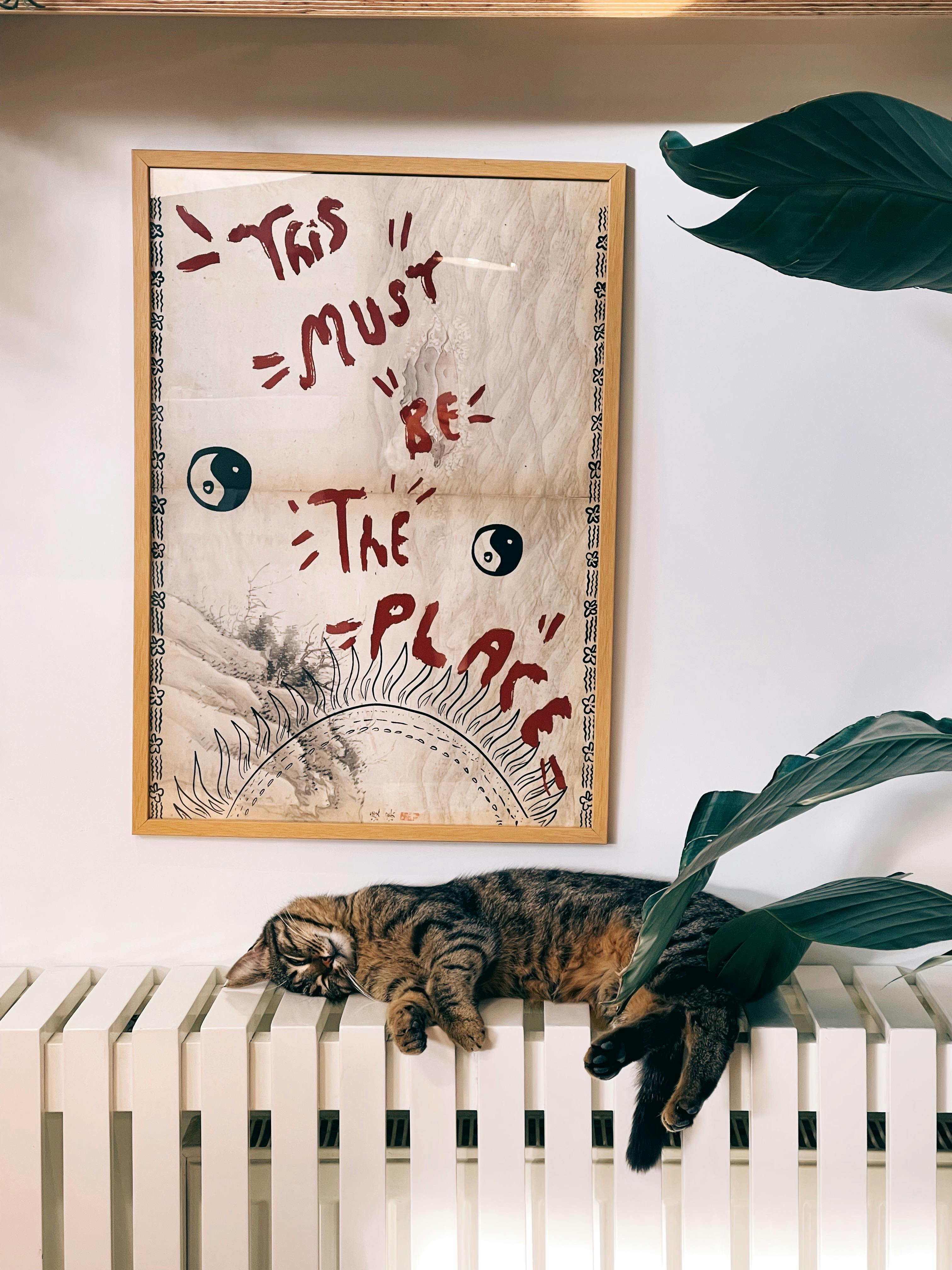 Yin And Yang Polarities