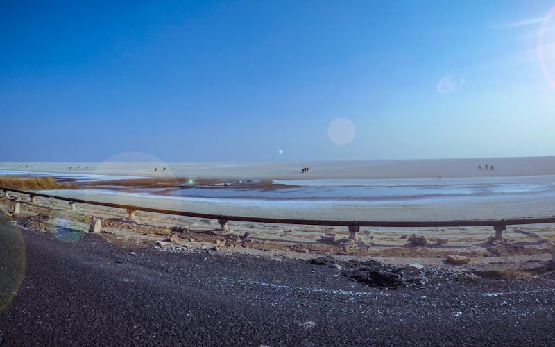 Sewage Backup in West LA Homes: The Correct Response