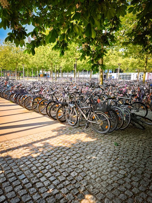 A row of bicycles parked on a brick sidewalk
