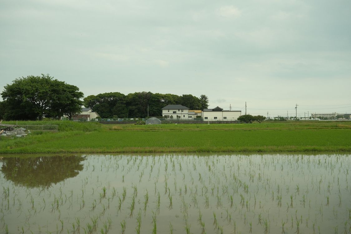 Scenic coastline and Sea of Japan views from Niigata, Japan