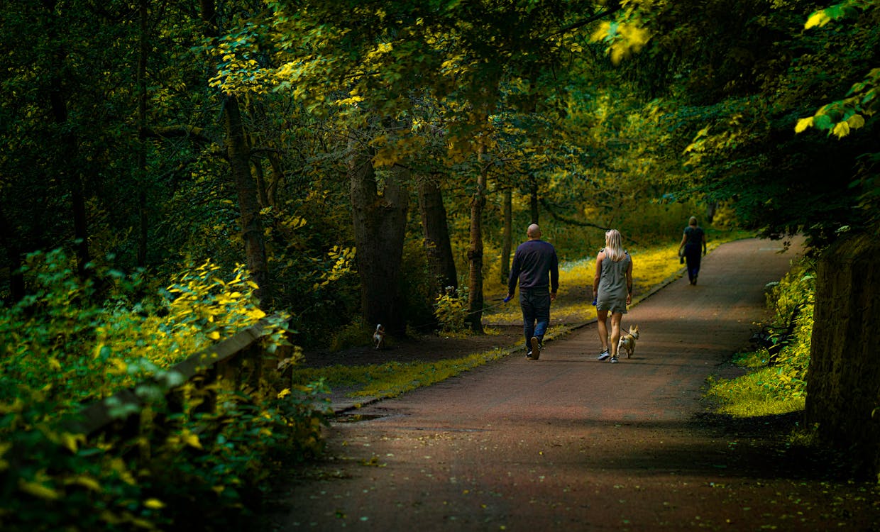 Photo of People Walking on Street Surrounded by Trees