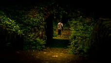 在柔和的灯光下，一个孤独的人影走在拱门下那条郁郁葱葱的森林小路上