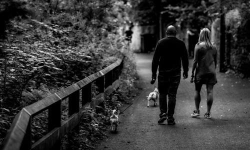 Grayscale Photo of Man and Woman Walking Near Plants