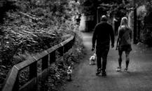 一对夫妇带着他们的狗在森林小路上散步