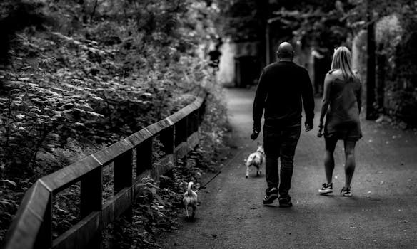 一对夫妇带着他们的狗在森林小路上散步