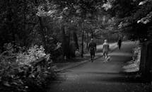 森林公园的小路上，人们在遛狗，呈现出一片宁静的黑白景象