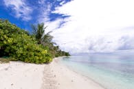 马尔代夫原始海滩的令人惊叹的景色，棕榈树繁茂，海水清澈