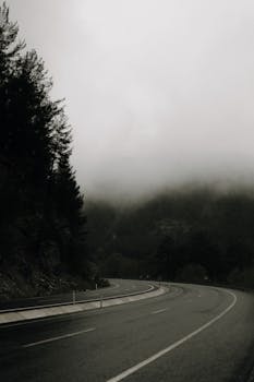A winding road in foggy weather through Muğla's lush forested landscape.