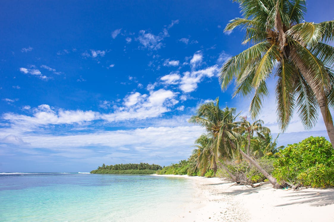 Beach Under White and Blue Clouds