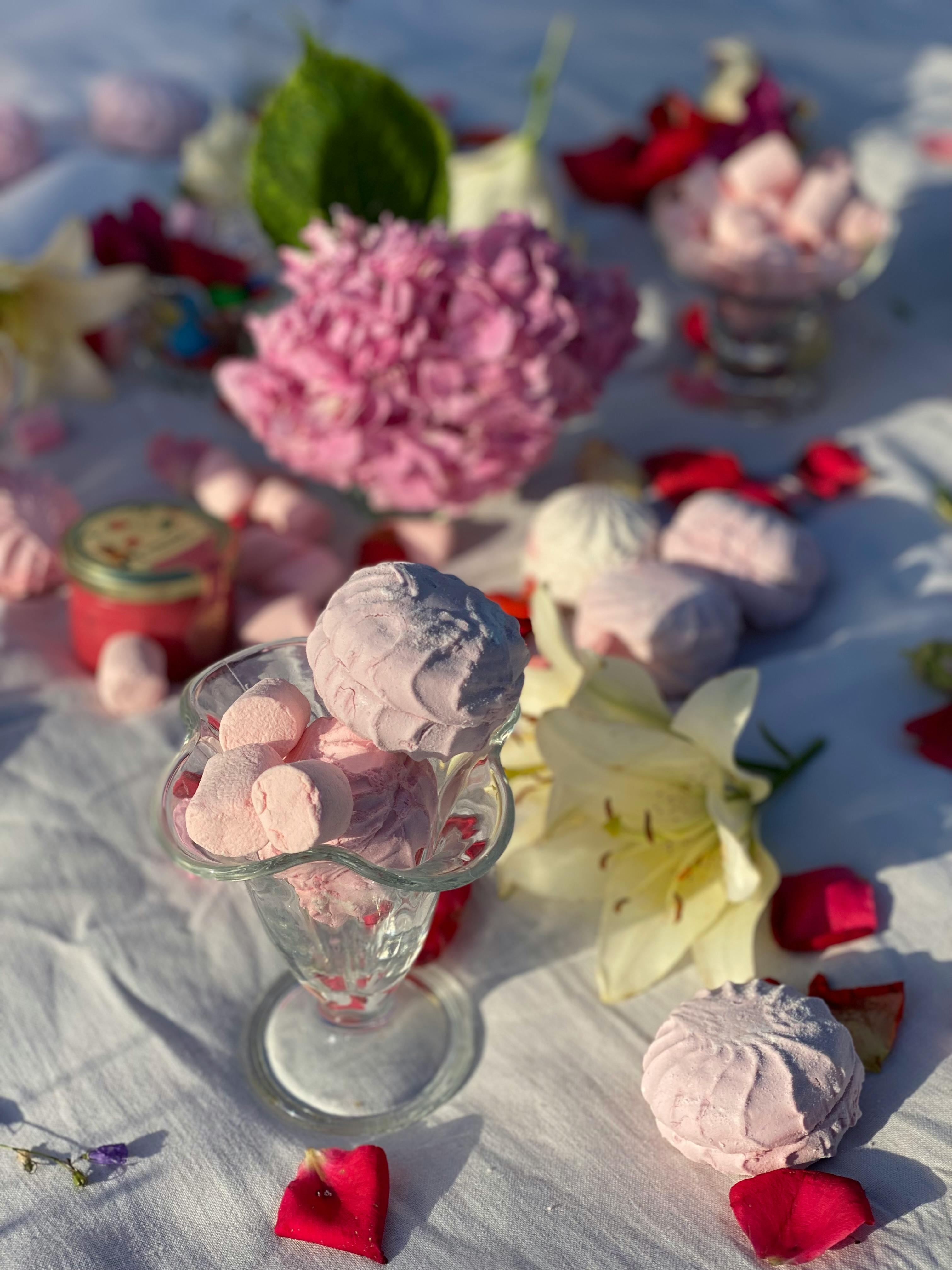 Treat Photos Download The BEST Free Treat Stock Photos HD Images Treat Photos Download The BEST Free Treat Stock Photos HD Images