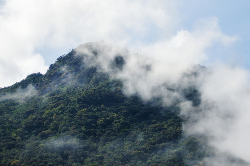 Green mountain shrouded in mist — photo by Abdullah K on Pexels