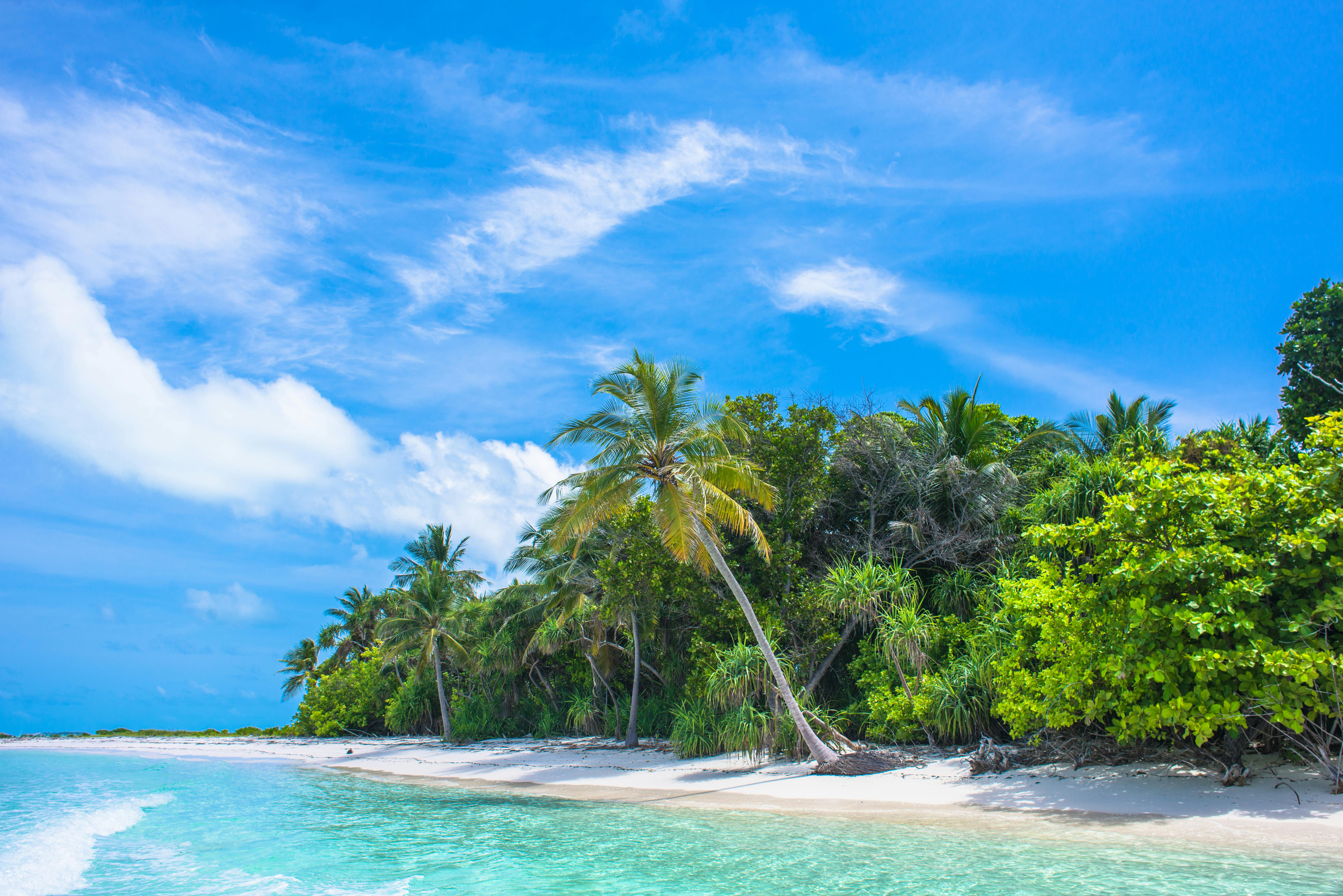 Tropical Island Photos, Download The BEST Free Tropical Island