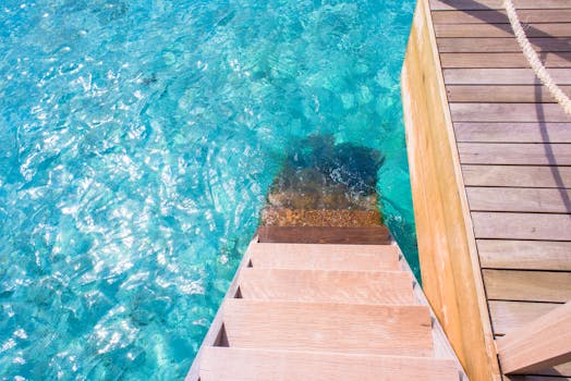 清澈的热带水域中，木制台阶下入，营造出宁静的度假氛围