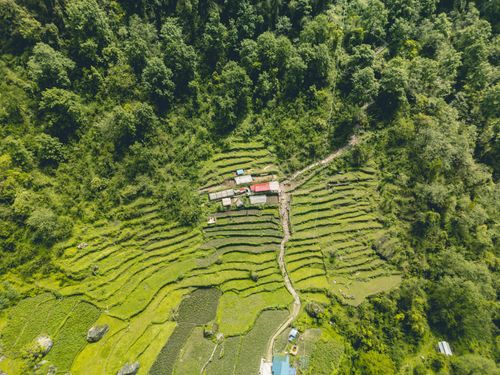 Free Explore the serene terraced fields in Ghandruk, Nepal from above, showcasing natural beauty and agricultural landscapes. Stock Photo