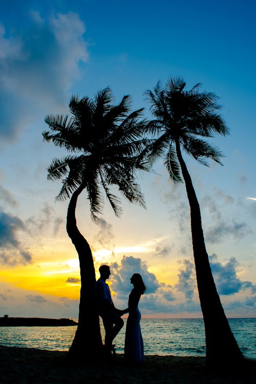 Free Man and Woman Near Coconut Trees Stock Photo