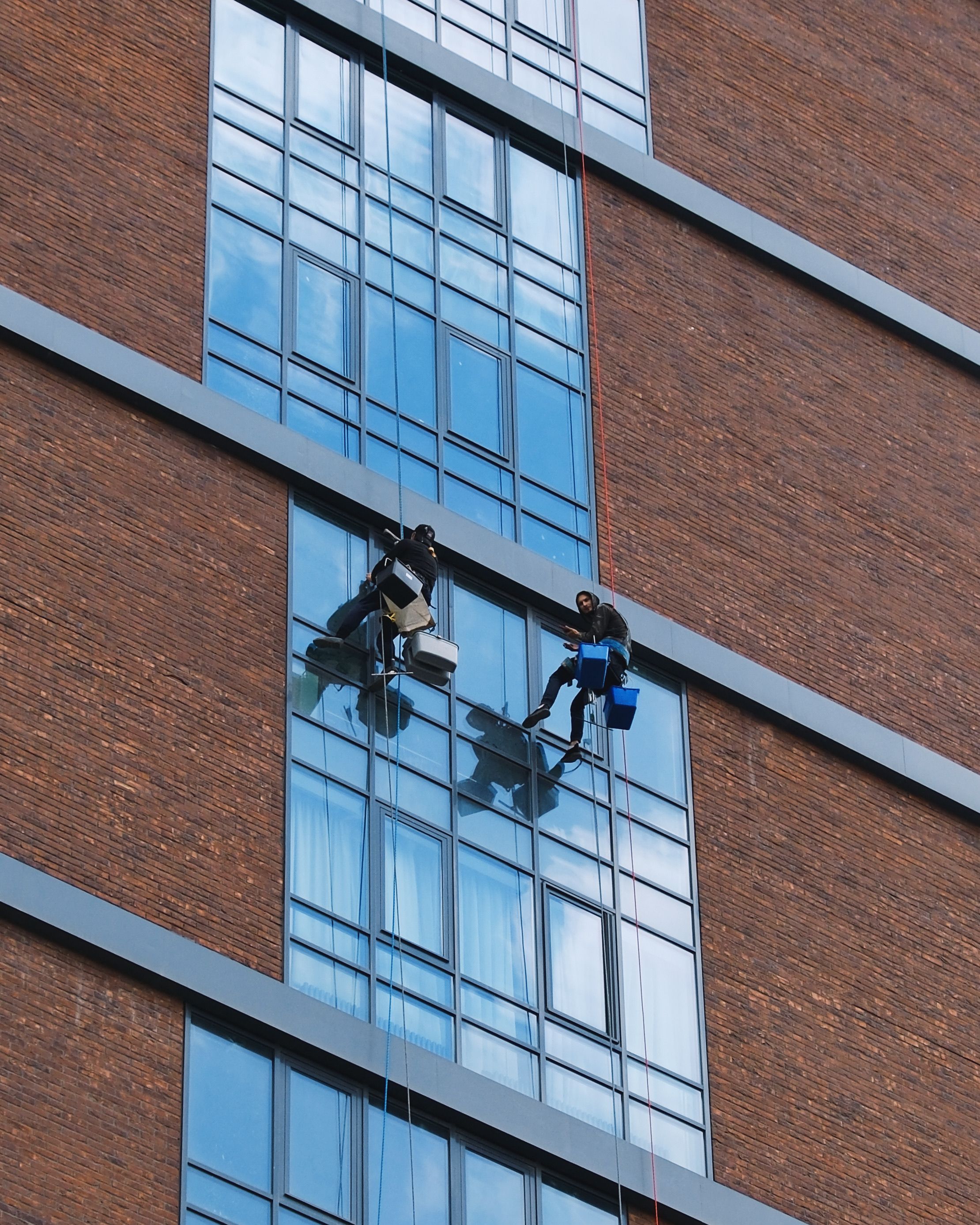 People Hanging and Cleaning Windows · Free Stock Photo