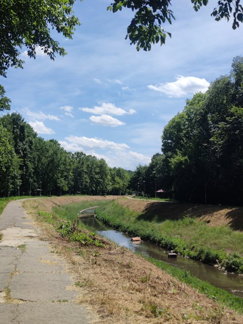 公園, 原本, 夏天 的 免費圖庫相片