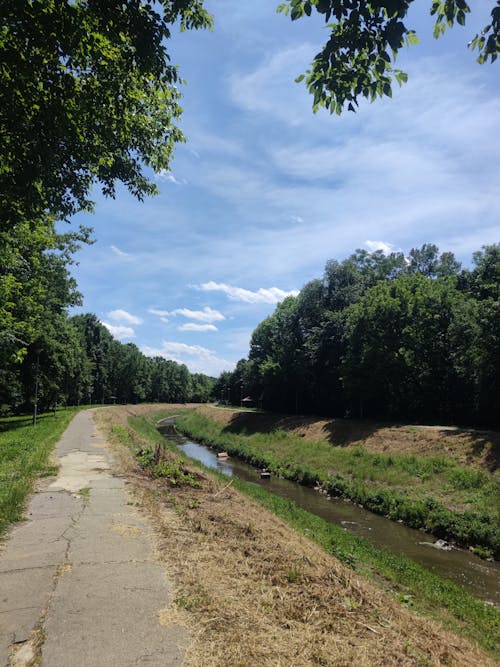 公園, 原本, 夏天 的 免費圖庫相片