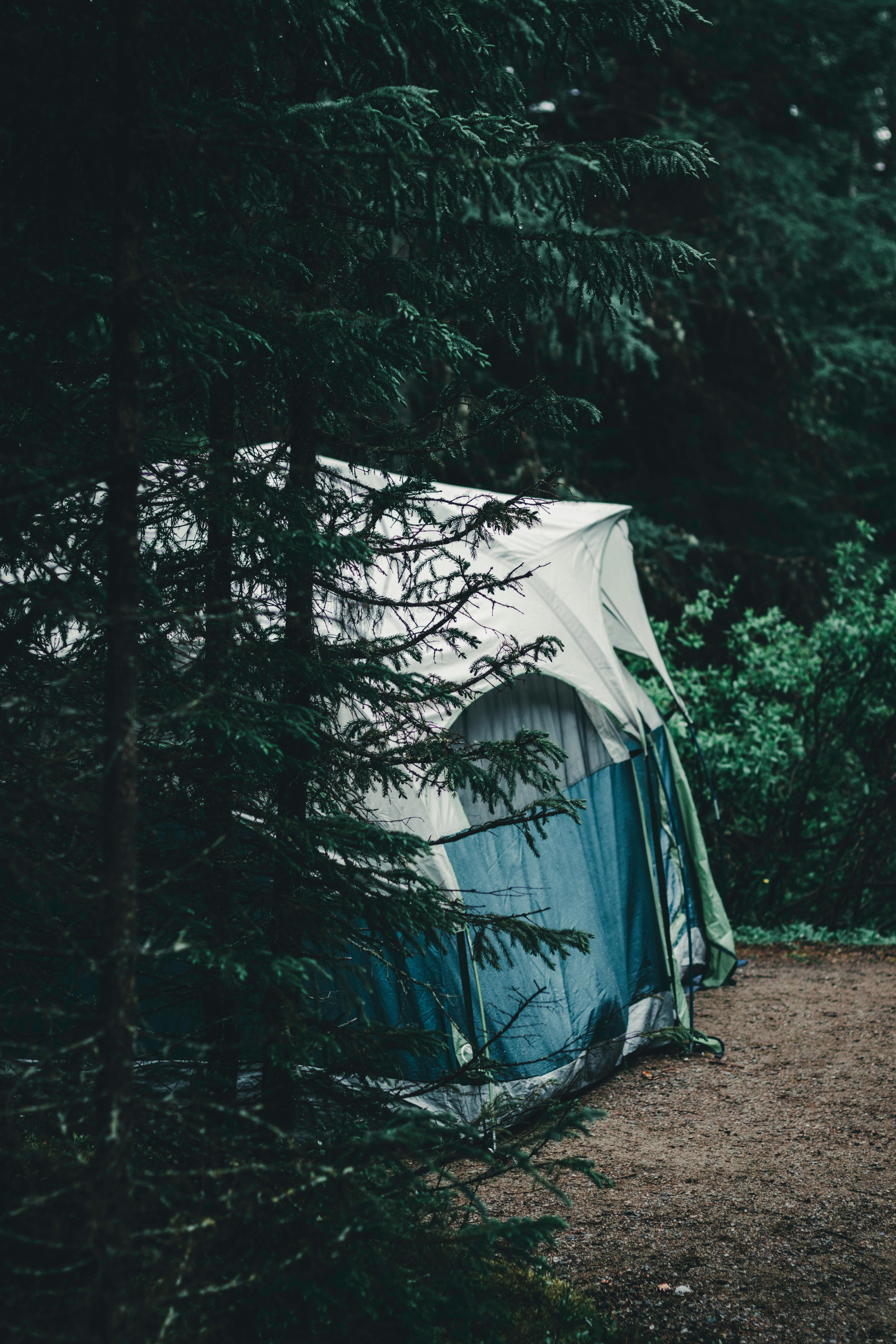 Sunrise over a national park campground with tents and pine trees
