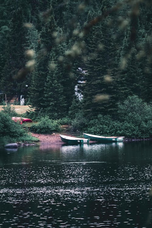 Fotobanka s bezplatnými fotkami na tému cestný výlet, cestovať, chatka