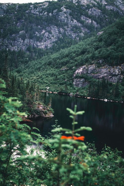Free Serene view of a lush green lake surrounded by mountains in Gaspé, Canada. Stock Photo