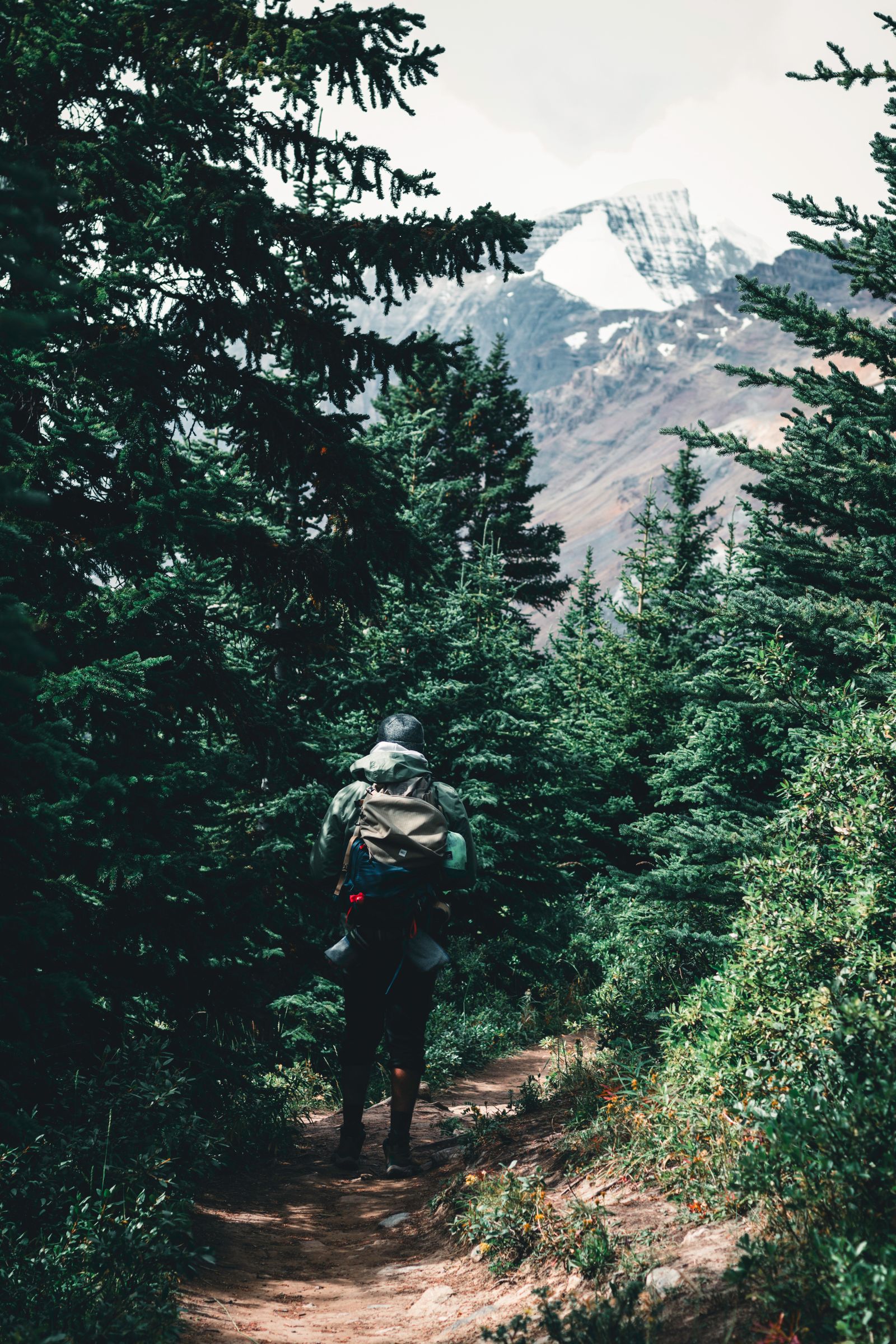 A Person Walking on the Field while Carrying a Backpack · Free Stock Photo