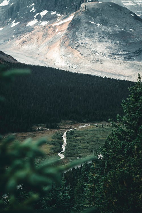 The beauty of Jasper National Park