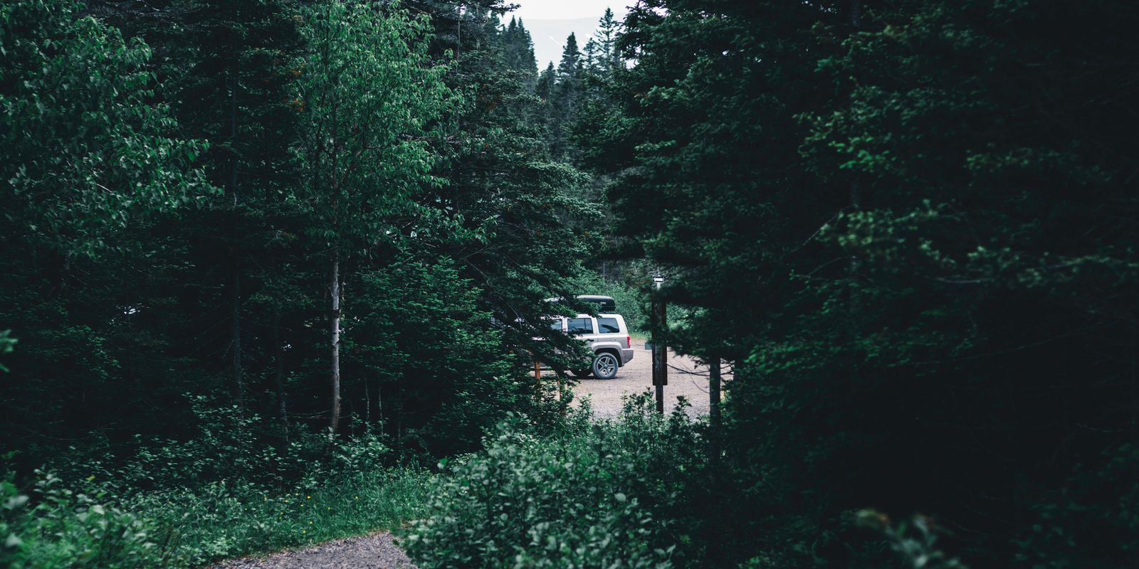 A path through dense forest leading to a parked camper van