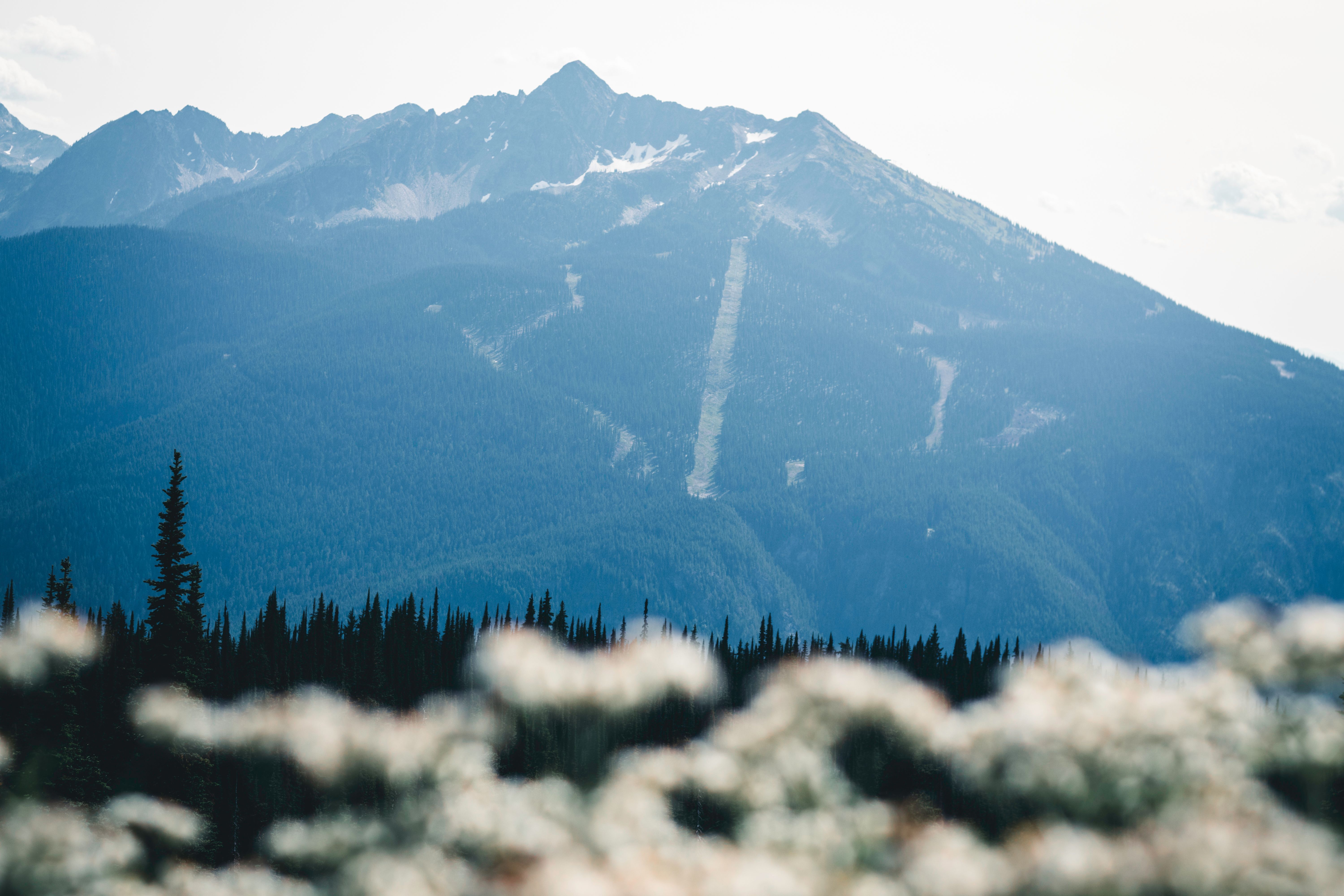 Mount Revelstoke