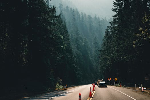 Tranquil drive through lush forested highway in autumn, surrounded by towering trees and construction cones.